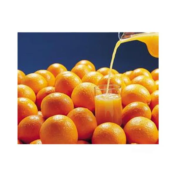 Small Capacity Orange Juice Processing Machine with Complete Features Featuring PLC As Core Component