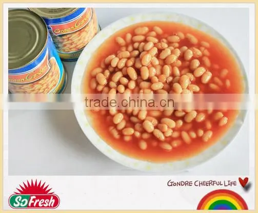 Canned Baked Beans From New Crop in Tomato Sauce
