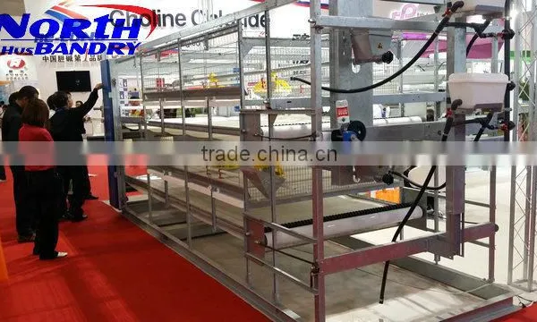 Chicken Waterer Feeder, Chicken Feeder Automatic Poultry Equipment photo-4