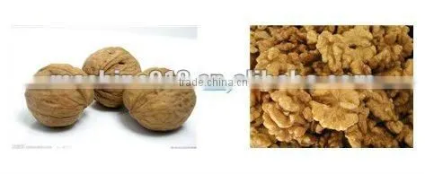 300kg/h Walnut Crushing Machine