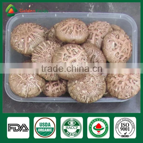 Shiitake Farm,Shiitake Mushroom Kit,Black Mushrooms photo-5