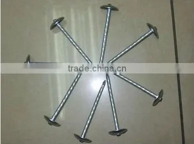 Roofing Coil Nails 3.05*25 Shank Smooth photo-6