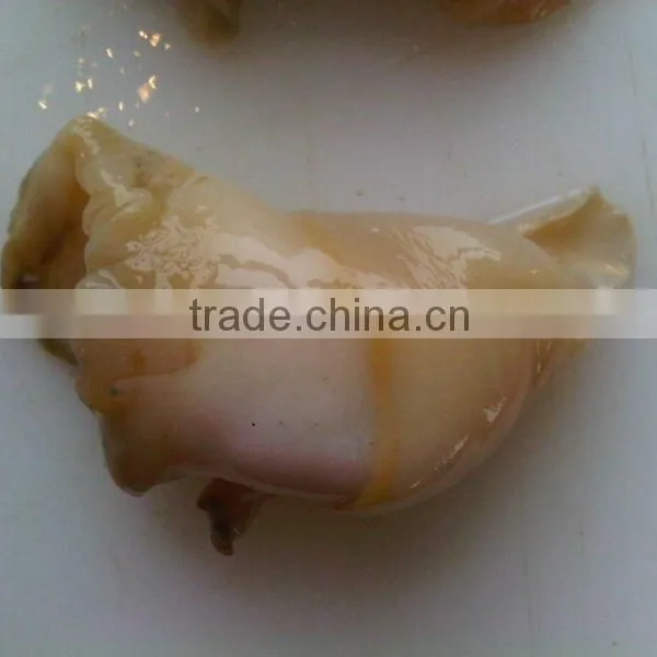 FROZEN BOILED WHELK MEAT