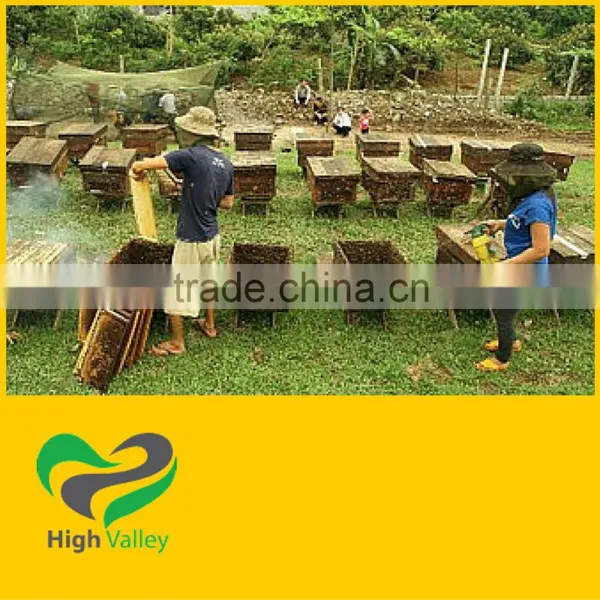 High Quality Robusta Roasted Coffee - Service OEM
