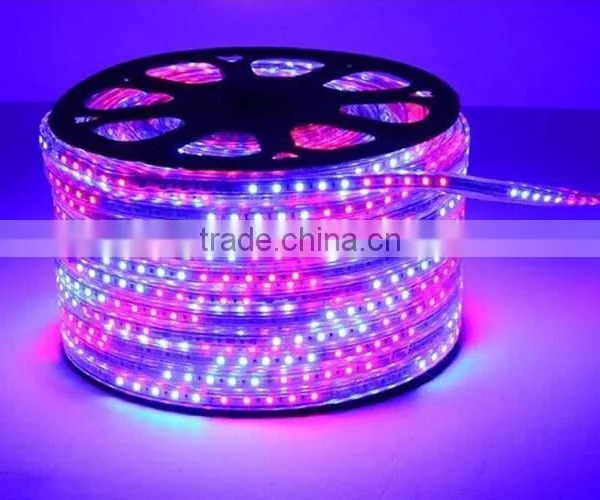 5050 SMD 220V 110V Flexible Led Light Strip,high Voltageled Strip Light photo-2
