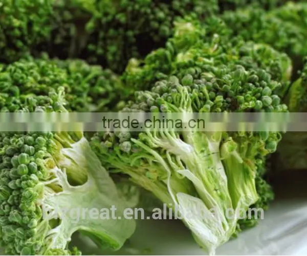 Chinese Healthy Snack Frozen Dried FD Dried Vegetables-FD Carrot Cube photo-4