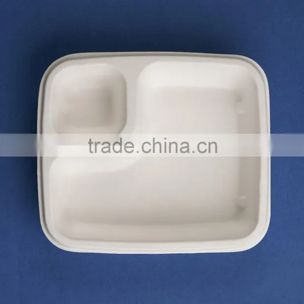 Sugercane 7x6 Inch 2 Compartment Tray photo-3
