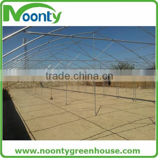Multispan Tunnel Greenhouse for Flower photo-2