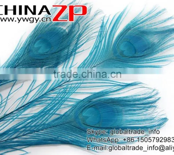 CHINAZP Leading Supplier Wholesale Cheap Full Eye Dyed Turquoise Blue Peacock Tail Feathers for Sale photo-5