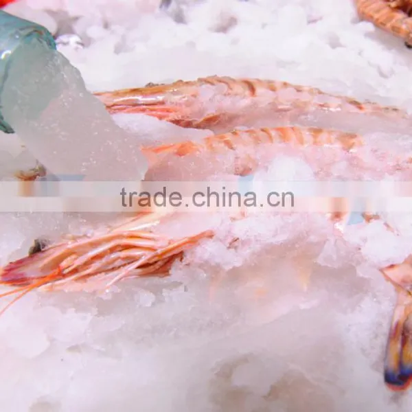 2016 Year Newest Design Slurry Ice Machine Liquid Ice Machine for Shrimp With High Ice Crystal Rate