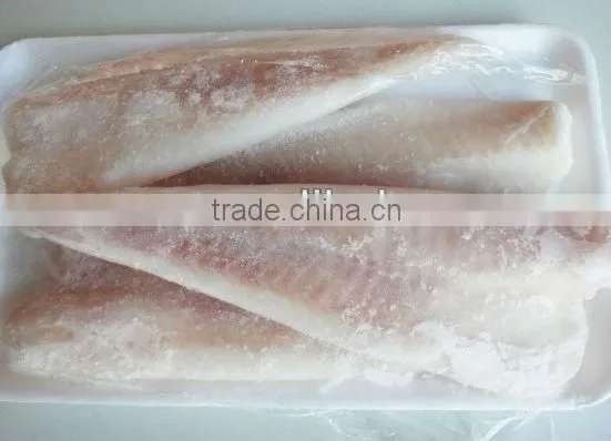 frozen pollock fillet