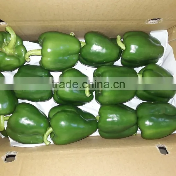 FRESH SWEET BELL PEPPER photo-3