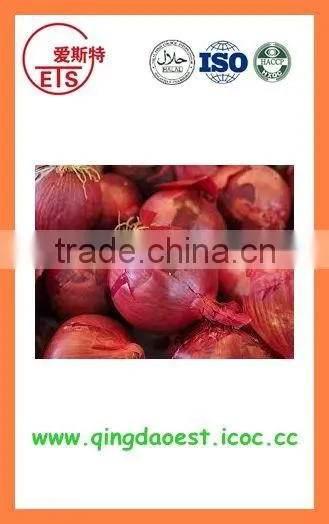 Fresh New Crop Red Onion PRODUCTS From China photo-4