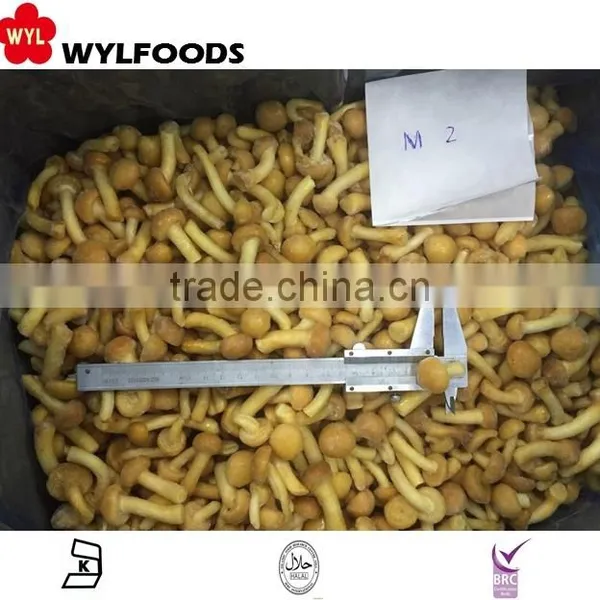 Bulk Frozen Nameko Mushroom Nameko