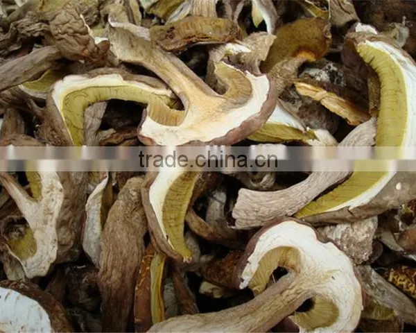Delicious Dried Yellow Boletus Price photo-6