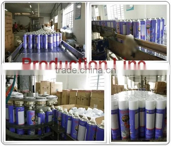 China Manufacturer for Pest Control Items High Quality Cheap Price 300ml 400ml 600ml Insecticide Spray photo-4