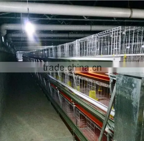 Automatic Feeding Equipment Stainless Steel Poultry Drinking System photo-3