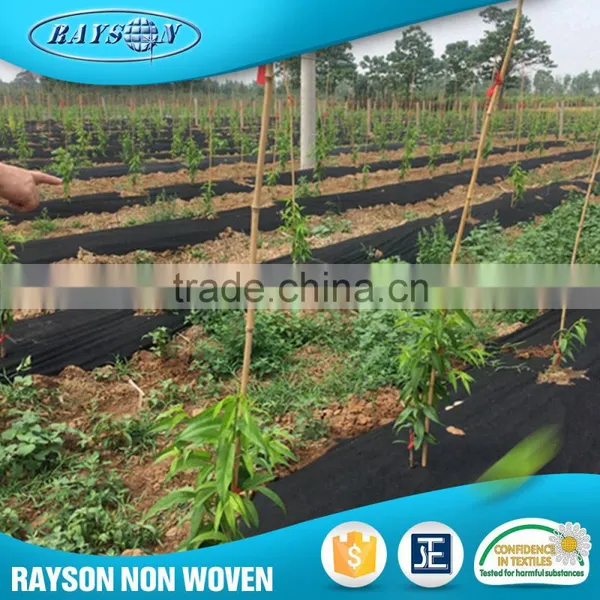 International Nonwoven White Agriculture Ground Cover photo-3