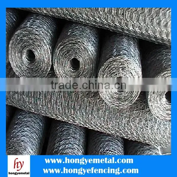ISO High Quality PVC Coated Hot Dipped Galvanized Hexagonal Wire Mesh 10mm photo-5