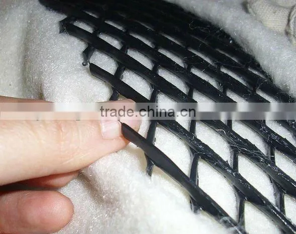 2 D compound PE drainage Net
