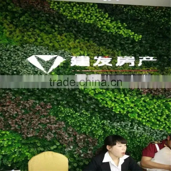 2017 China Manufacturer Wholesale China Pvc Wall Plant Skirting and Holder photo-5