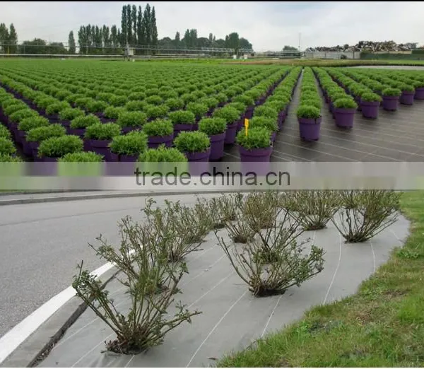 Ecological Can be Cut the Weed Mat for Agricultural Ground Cover photo-4