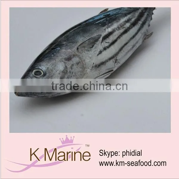 Sell Live Seafood Frozen Tuna Fish
