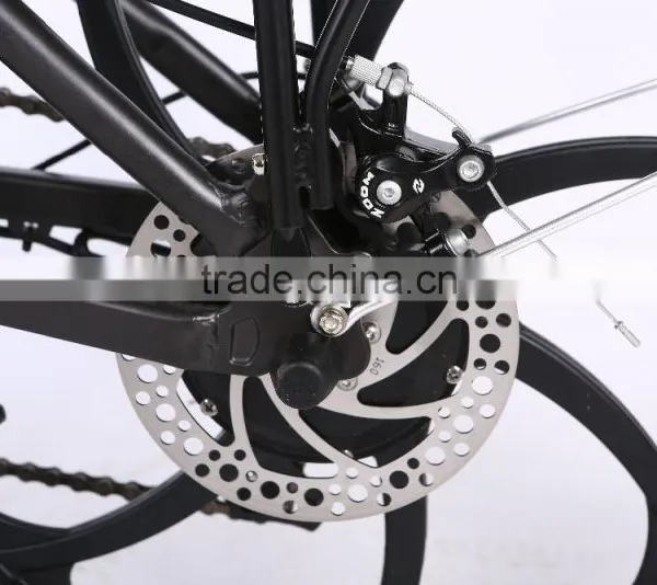 CE 36V 250W Foldable Electric Bicycle 20inch Folding Electric Bike With One-piece Aluminum Alloy Wheel photo-6
