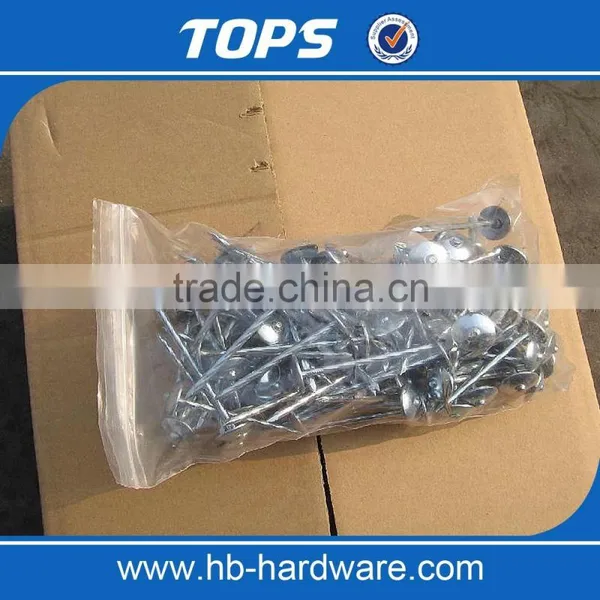 UMBRELLA HEAD ROOFING NAILS 9G X2 1/2" photo-4