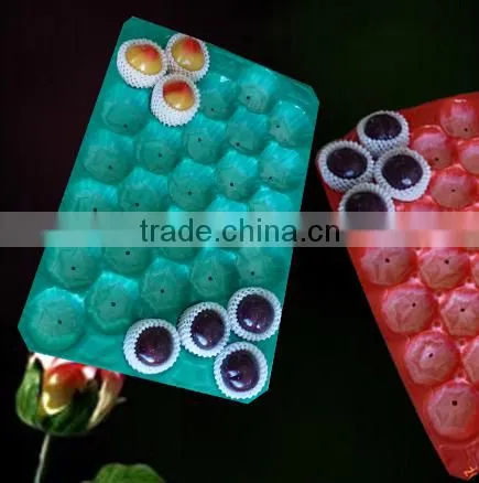 China Supply Cheap Plastic Fruit Tray photo-2