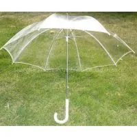 Transparent Umbrella - 01