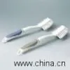 Brush Mould