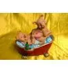 Humor Toys, Funny Toys
