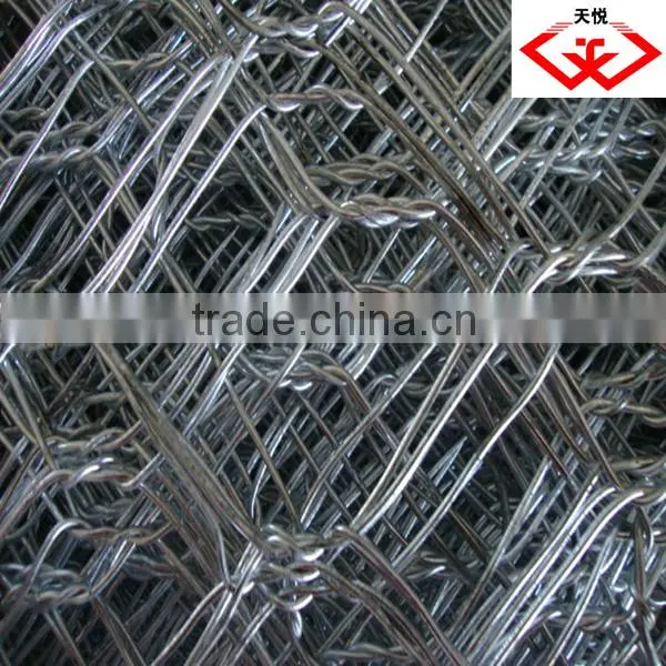 PVC Coated/Galvanized Hexagonal Wire Netting/Mesh (factory) photo-4