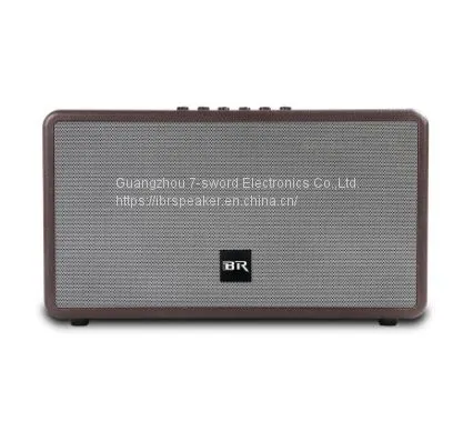 Bluetooth Live Speaker Dual Portable Speaker for Indoor Party