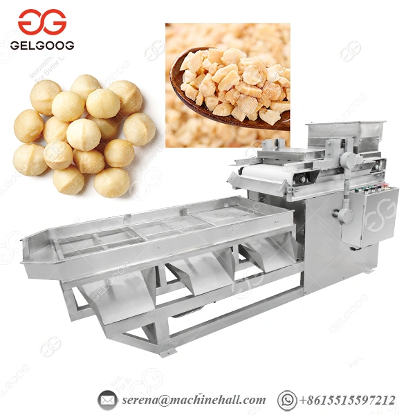 Chestnut Chopping Machine Nut Crusher Machine Gg-sz15 photo-3