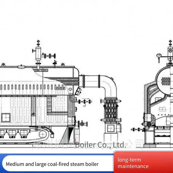 Dzl Chain Biomass Horizontal Grate Steam Boiler for High - Efficiency and Energy - Saving in Brewing and Food Production photo-2
