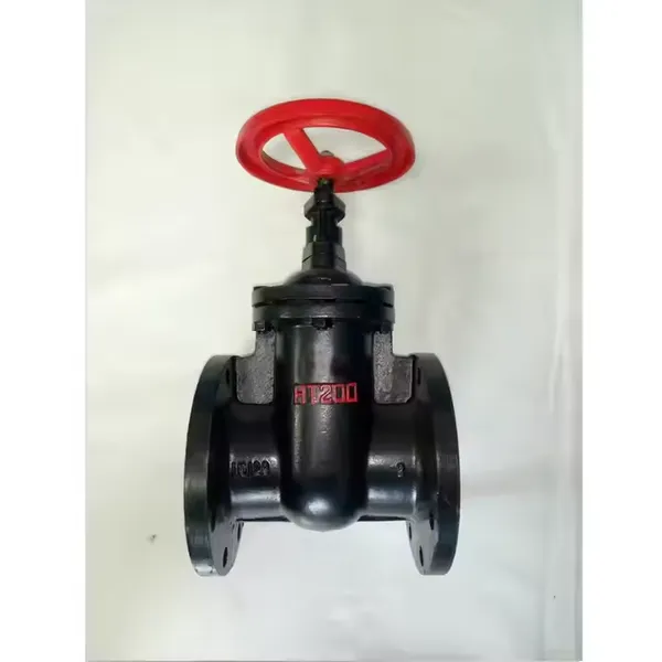 Factory Supply BS Z45T Flange Hard Seal Soft Seal Gate Valve for Water Gray/Cast/Ductile Iron Bronze/Stainless Steel Disc photo-6