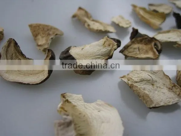 Boletus Edlie Form Yunnan photo-3