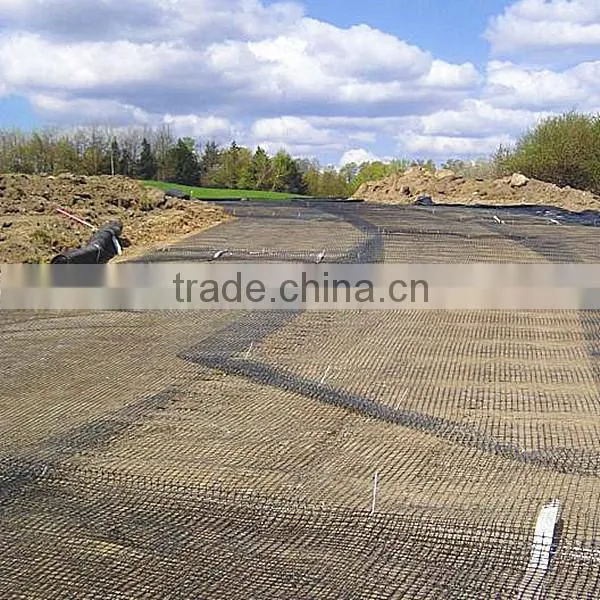 Geogrid Price photo-3