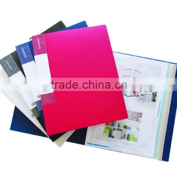 Clear File 236-20 GSV