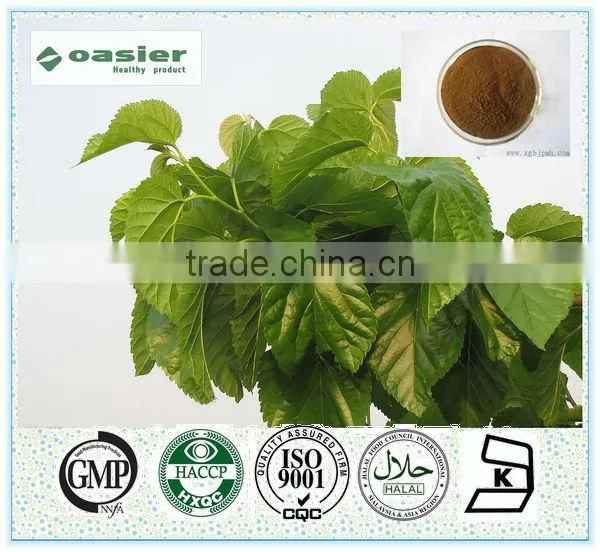 Offering Mulberry Leaf Extract.high Quality Mulberry Leaf Extract.Cost Effective!