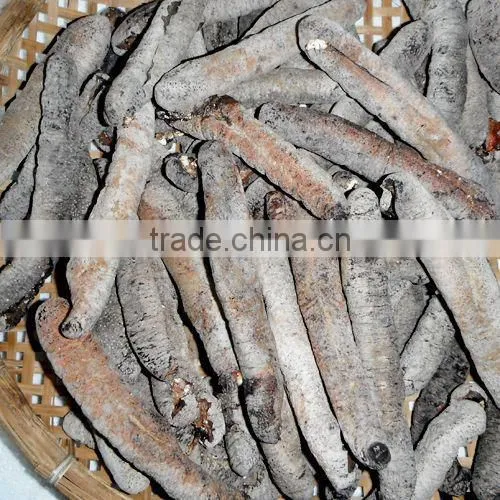 Dry Sea Cucumber Vietnam, Lolly Fish, Holothuria Atra photo-6