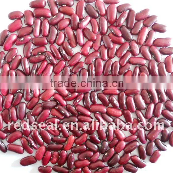 2011 New Dark Red Kidney Beans