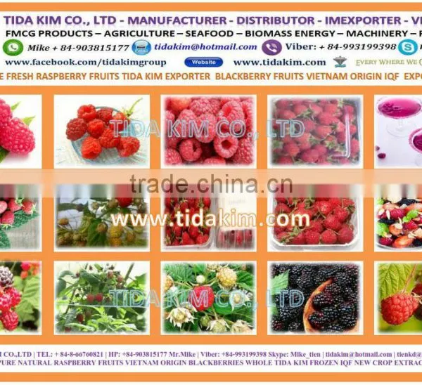 100% ITOYORI SURIMI- SHRIMP - PANGASIUS Mix KA300 AA 400 GS 600 700 TIDA KIM VIETNAM EXPORTER photo-5
