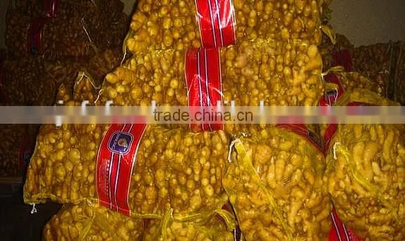Wholesale Cheap Ginger From China