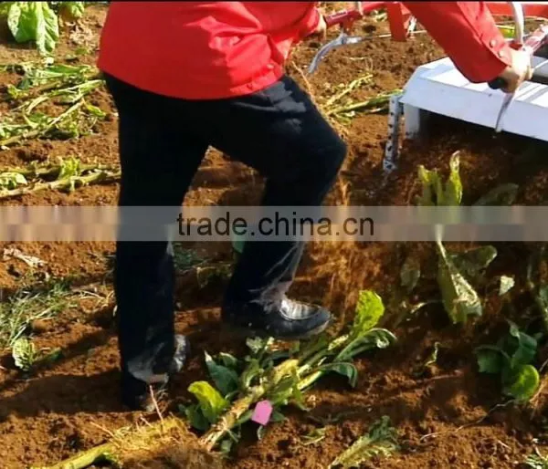Agricultural Tool With Iron Wheel Green Corn Stalk Cutting Machine for Cow Silage Machine for Cutting Tobacco Stalk photo-4