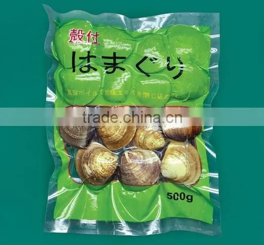 Snack Food Vacuum Plastic Packaging Bag