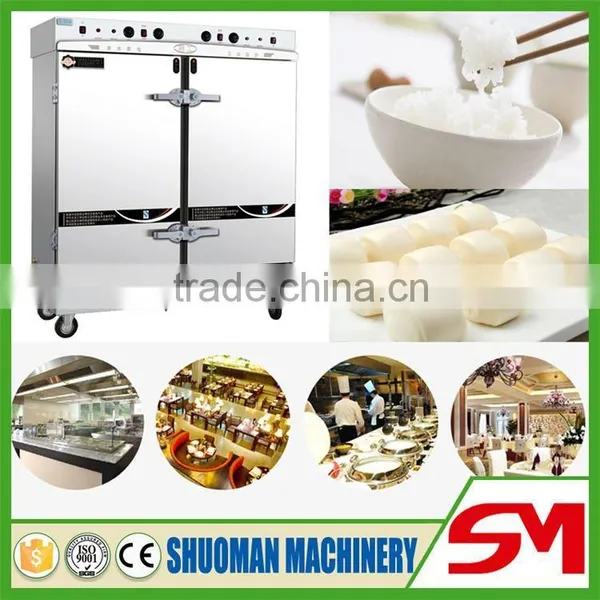 Automatic control device mini steamer