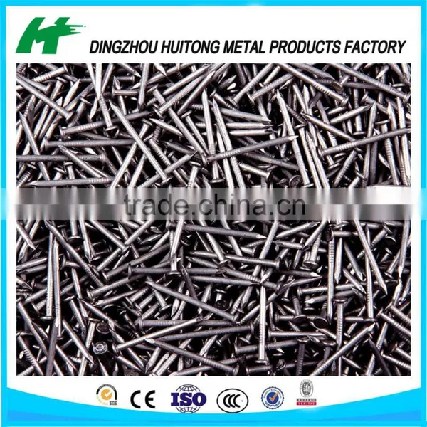 Common Iron Nail
